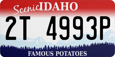 ID license plate 2T4993P