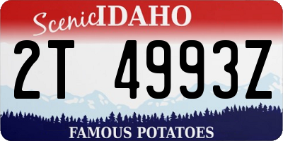 ID license plate 2T4993Z