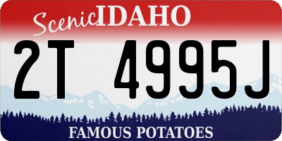 ID license plate 2T4995J