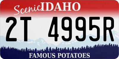 ID license plate 2T4995R