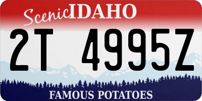 ID license plate 2T4995Z