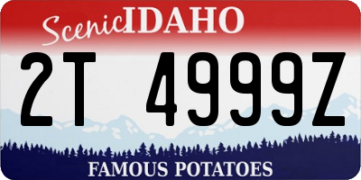 ID license plate 2T4999Z