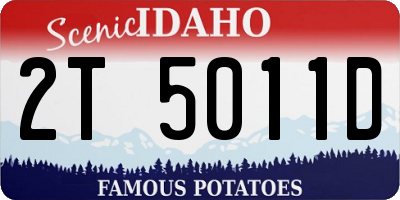 ID license plate 2T5011D