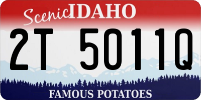 ID license plate 2T5011Q