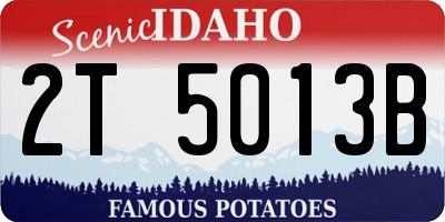 ID license plate 2T5013B