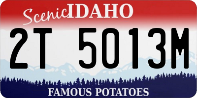 ID license plate 2T5013M