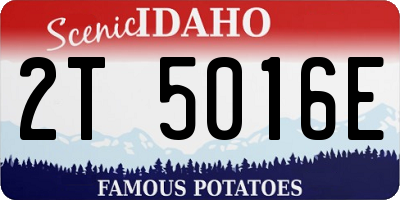 ID license plate 2T5016E