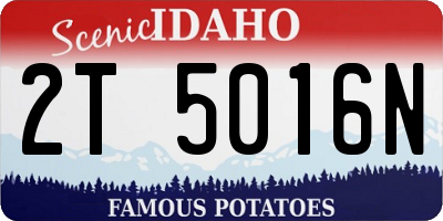 ID license plate 2T5016N