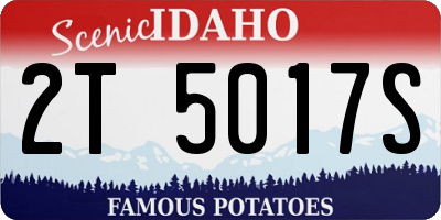 ID license plate 2T5017S