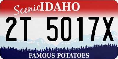 ID license plate 2T5017X