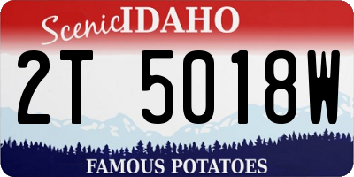 ID license plate 2T5018W