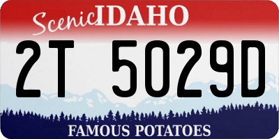 ID license plate 2T5029D