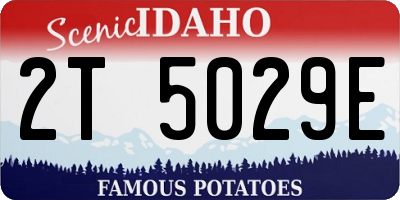 ID license plate 2T5029E