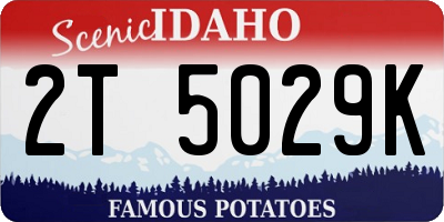 ID license plate 2T5029K