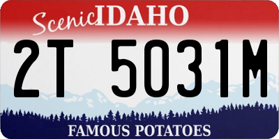 ID license plate 2T5031M