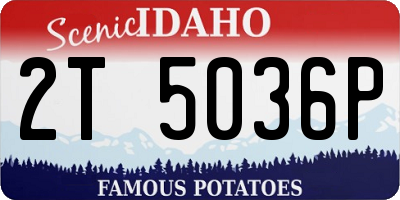 ID license plate 2T5036P