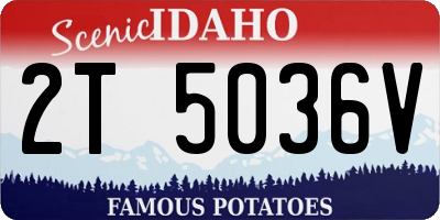 ID license plate 2T5036V
