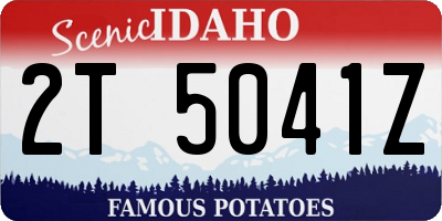 ID license plate 2T5041Z