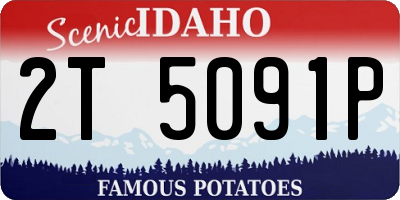 ID license plate 2T5091P