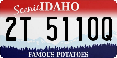 ID license plate 2T5110Q