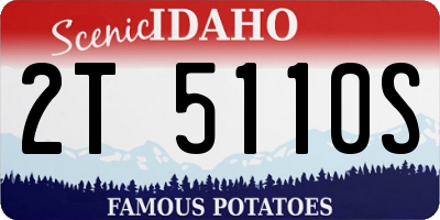 ID license plate 2T5110S
