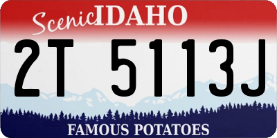 ID license plate 2T5113J