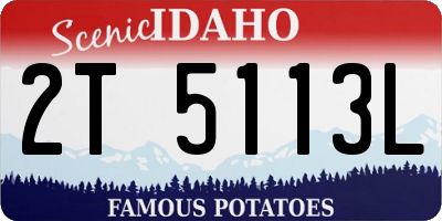 ID license plate 2T5113L