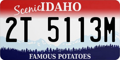 ID license plate 2T5113M