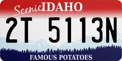 ID license plate 2T5113N