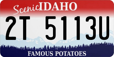 ID license plate 2T5113U