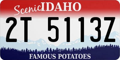 ID license plate 2T5113Z