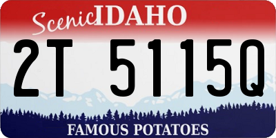 ID license plate 2T5115Q
