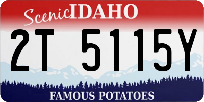 ID license plate 2T5115Y
