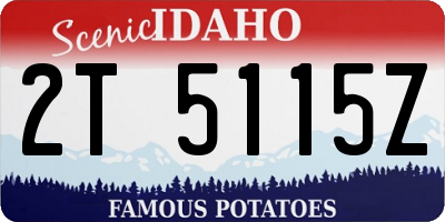ID license plate 2T5115Z
