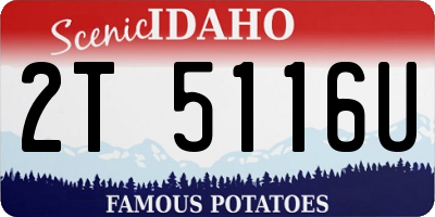 ID license plate 2T5116U