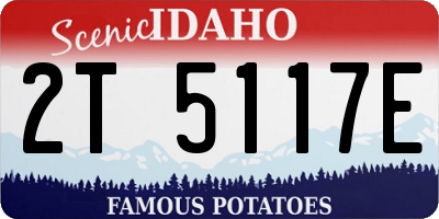 ID license plate 2T5117E