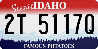 ID license plate 2T5117Q