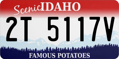 ID license plate 2T5117V