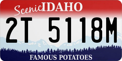 ID license plate 2T5118M