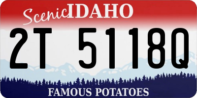 ID license plate 2T5118Q
