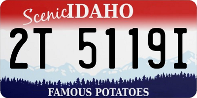 ID license plate 2T5119I