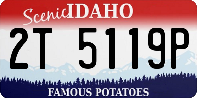 ID license plate 2T5119P