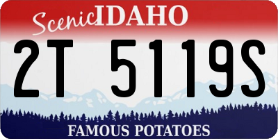 ID license plate 2T5119S