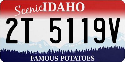 ID license plate 2T5119V