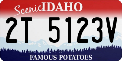 ID license plate 2T5123V