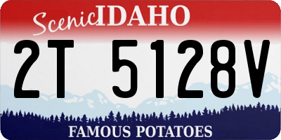 ID license plate 2T5128V