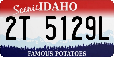 ID license plate 2T5129L