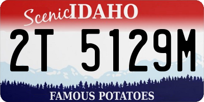 ID license plate 2T5129M