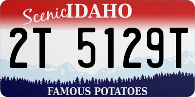 ID license plate 2T5129T
