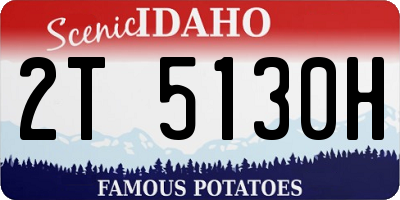 ID license plate 2T5130H